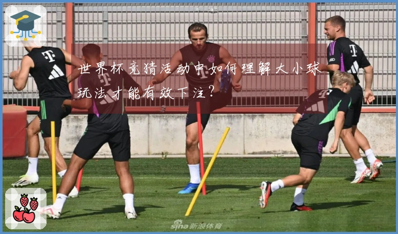 世界杯竞猜活动中如何理解大小球玩法才能有效下注？