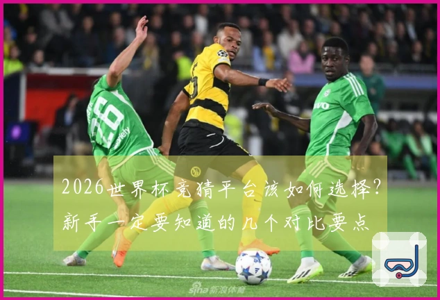 2026世界杯竞猜平台该如何选择？新手一定要知道的几个对比要点
