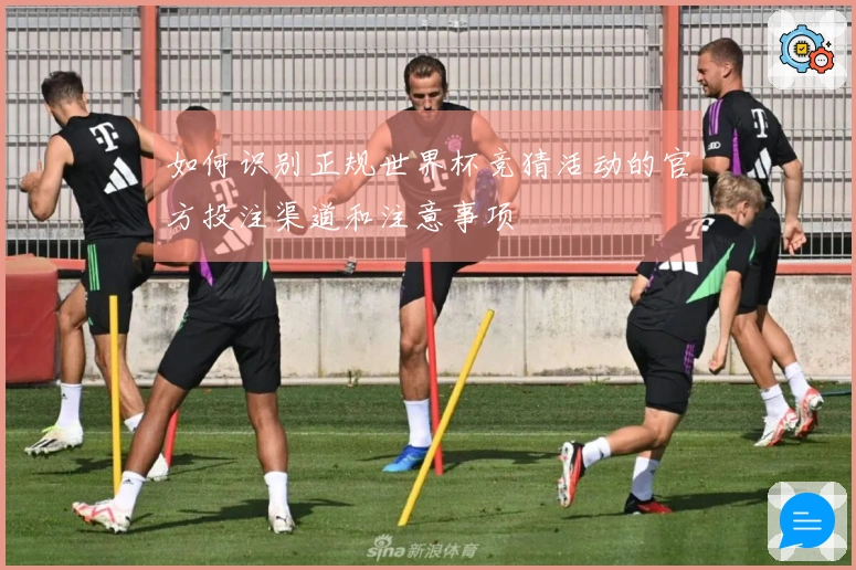 如何识别正规世界杯竞猜活动的官方投注渠道和注意事项
