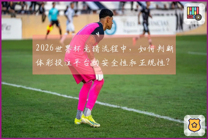 2026世界杯竞猜流程中，如何判断体彩投注平台的安全性和正规性？