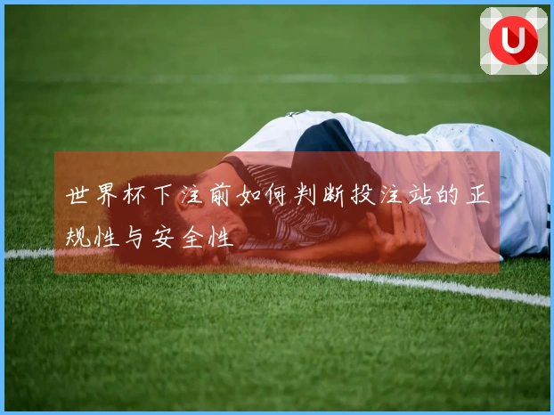 世界杯下注前如何判断投注站的正规性与安全性