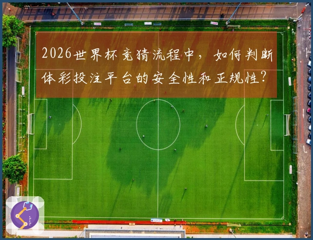 2026世界杯竞猜流程中，如何判断体彩投注平台的安全性和正规性？